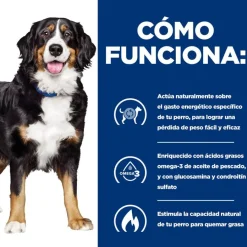 Hill's Prescription Diet Canine j/d Metabolic + Mobility lata para perros Online