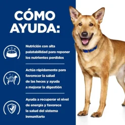 Hill's Prescription Diet Digestive Care i/d Pollo pienso para perros Discount