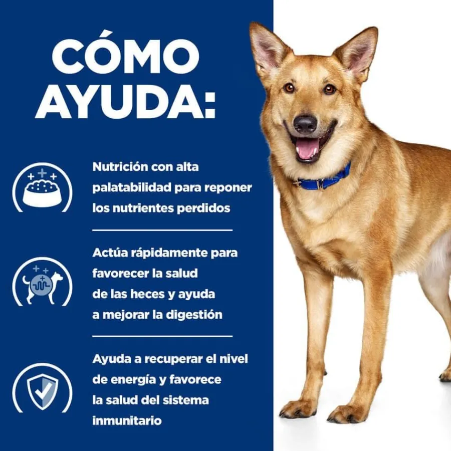 Hill's Prescription Diet Digestive Care i/d Pollo pienso para perros Discount