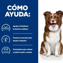 Hill's Prescription Diet Derm Defense Pollo pienso perro New
