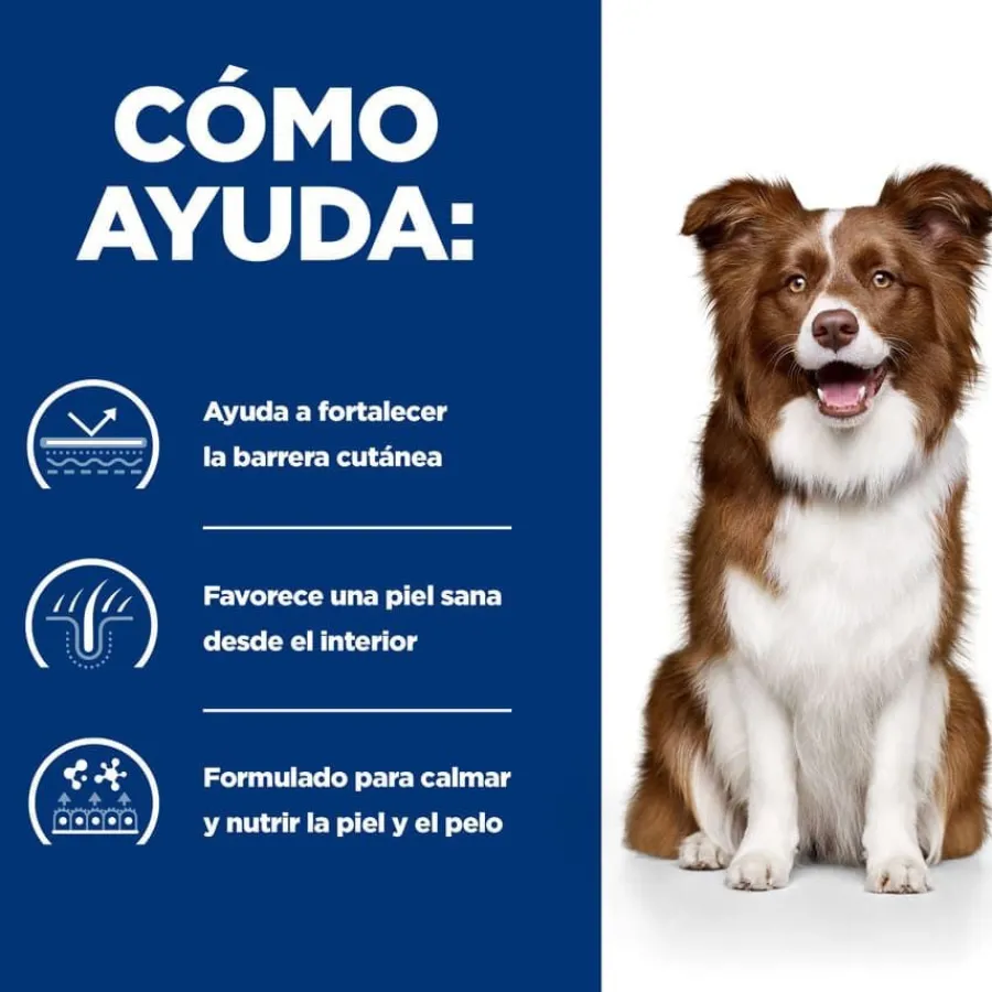 Hill's Prescription Diet Derm Defense Pollo pienso perro New