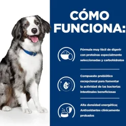 Hill's Prescription Diet Digestive Care i/d pienso para perros New