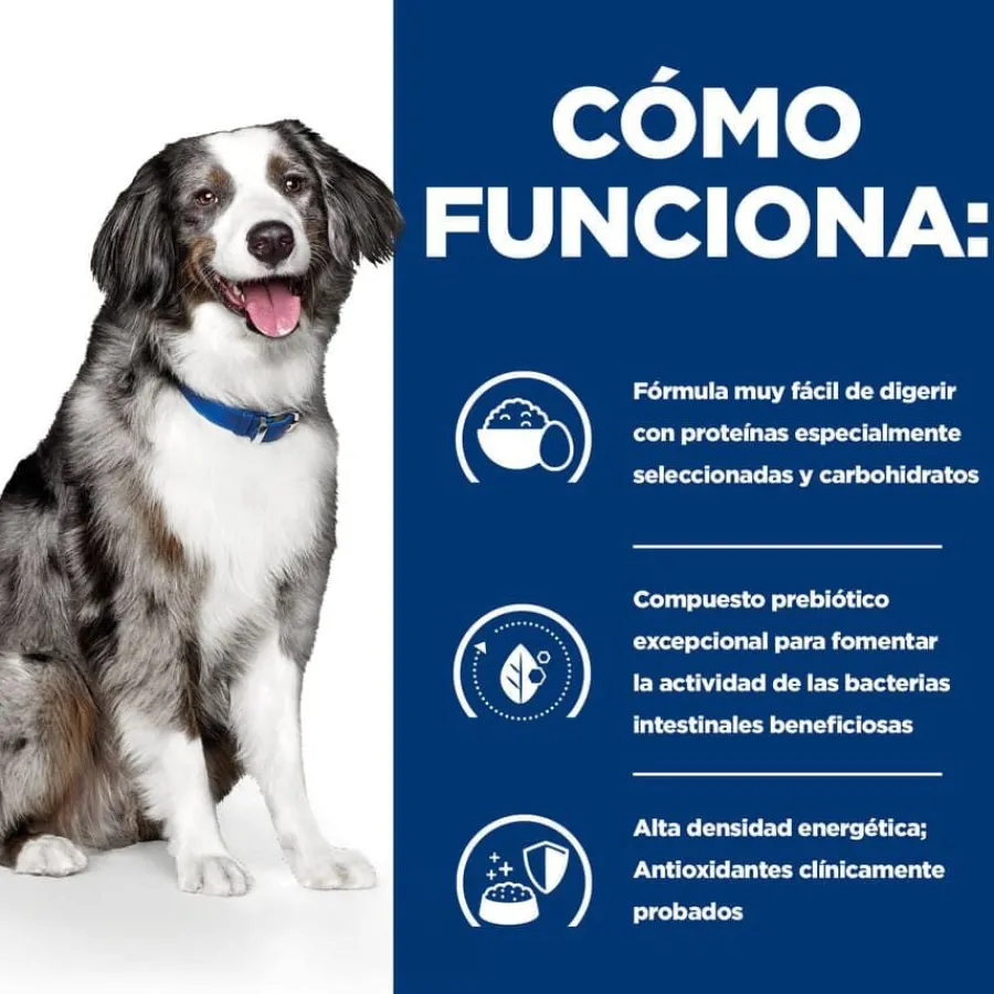 Hill's Prescription Diet Digestive Care i/d pienso para perros New