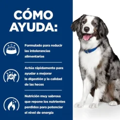 Hill's Prescription Diet Digestive Care i/d pienso para perros New