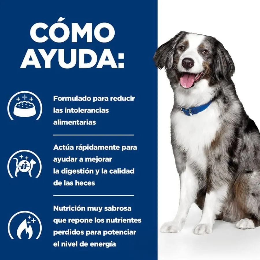 Hill's Prescription Diet Digestive Care i/d pienso para perros New