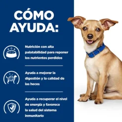 Hill's Prescription Diet Digestive Care i/d Perros Lata Estofado Pollo y Verduras Outlet