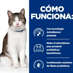 Hill's Hill’s Prescription Diet Gastrointestinal Biome Stress para gatos Clearance