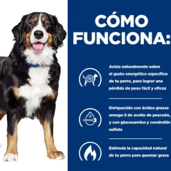 Hill's Prescription Diet j/d Metabolic + Mobility pienso para perros New