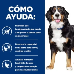 Hill's Prescription Diet j/d Metabolic + Mobility pienso para perros New