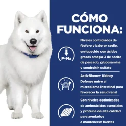 Hill's Prescription Diet kidney + Mobility pienso para perros Best