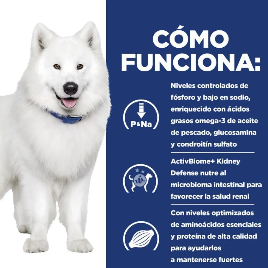 Hill's Prescription Diet kidney + Mobility pienso para perros Best