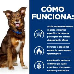 Hill's Prescription Diet Metabolic Control de Peso para perros Hot