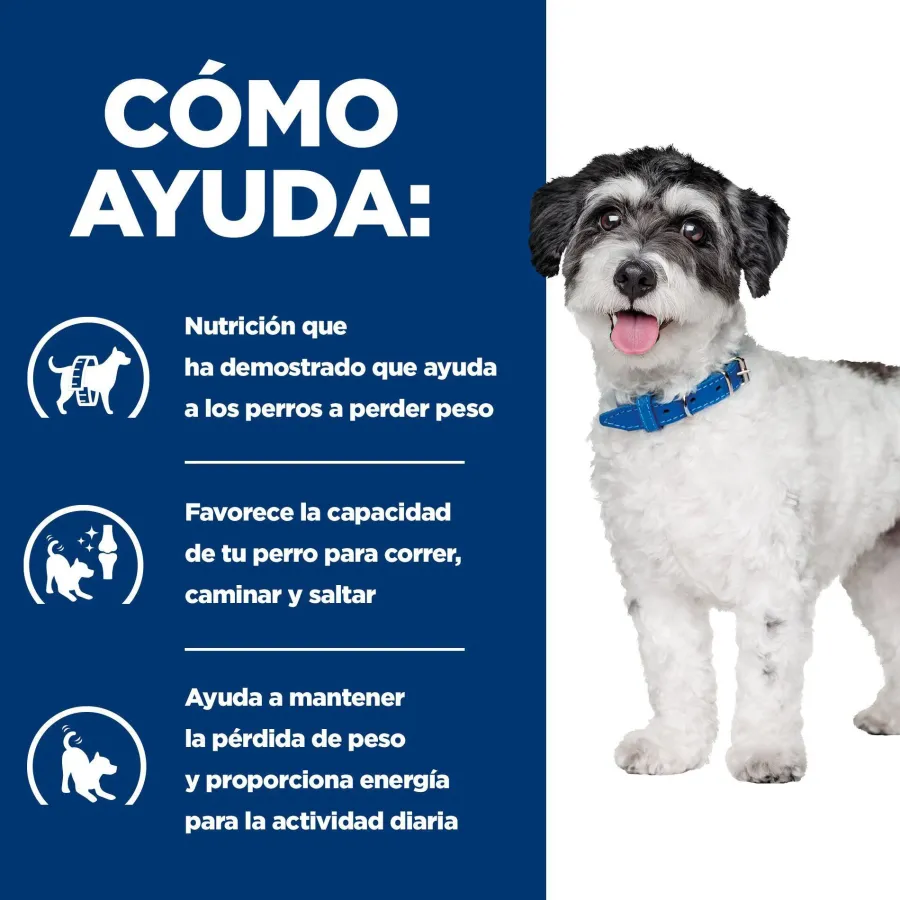 Hill's Prescription Diet Metabolic + Mobility Mini j/d pienso para perros Online