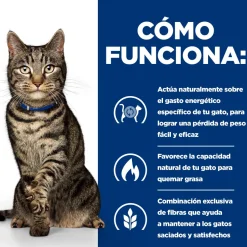 Hill's Prescription Diet Metabolic Feline pouches para gato - Multipack Outlet