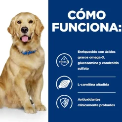 Hill's Prescription Diet Mobility Pollo pienso para perros Sale