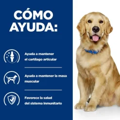 Hill's Prescription Diet Mobility Pollo pienso para perros Sale
