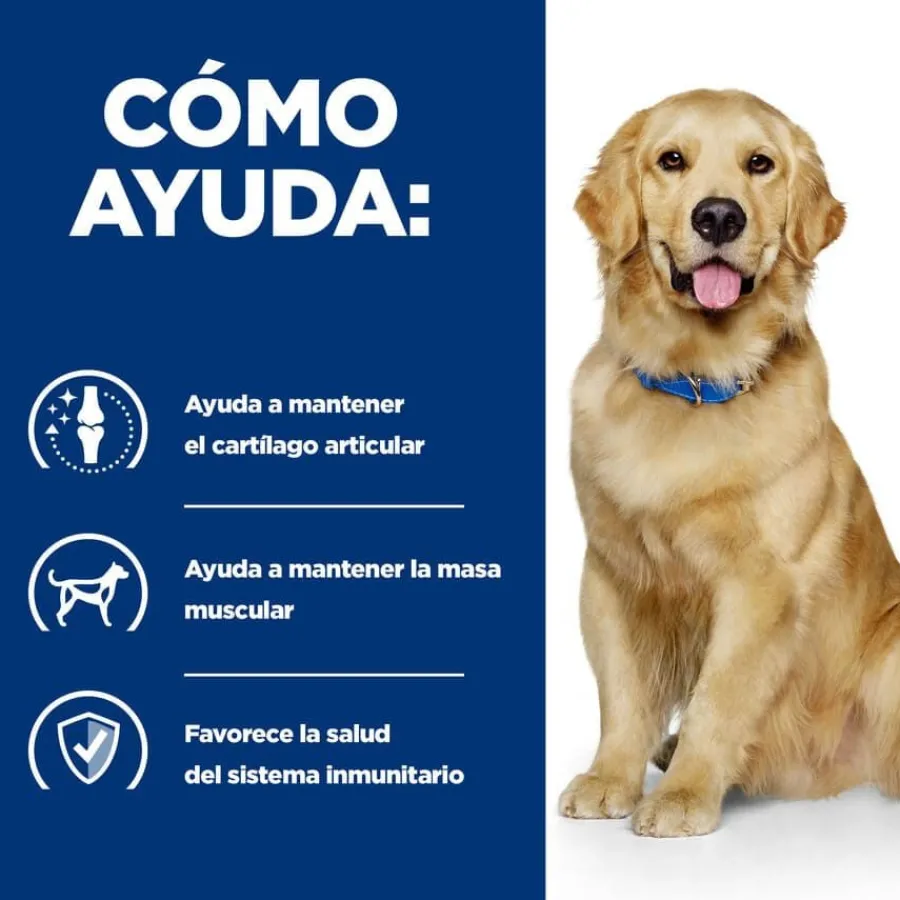 Hill's Prescription Diet Mobility Pollo pienso para perros Sale