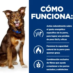 Hill's Prescription Diet Metabolic Pollo lata para perros Sale