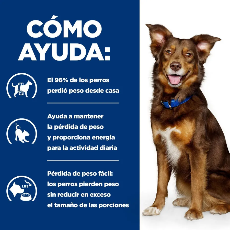 Hill's Prescription Diet Metabolic Pollo lata para perros Sale