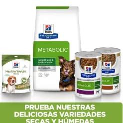 Hill's Prescription Diet Metabolic Pollo pienso para perros Online