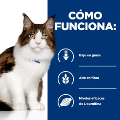 Hill's Prescription Diet Multi-Benefit Pollo pienso para gatos New