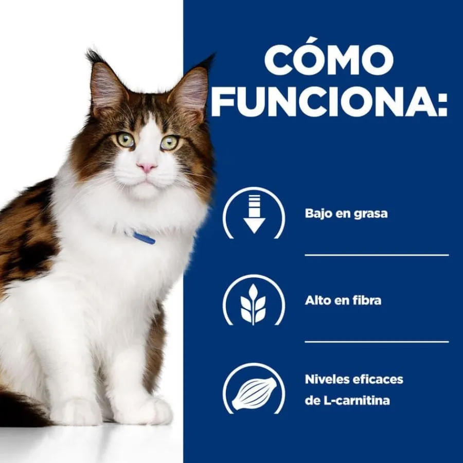 Hill's Prescription Diet Multi-Benefit Pollo pienso para gatos New
