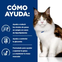 Hill's Prescription Diet Multi-Benefit Pollo pienso para gatos New