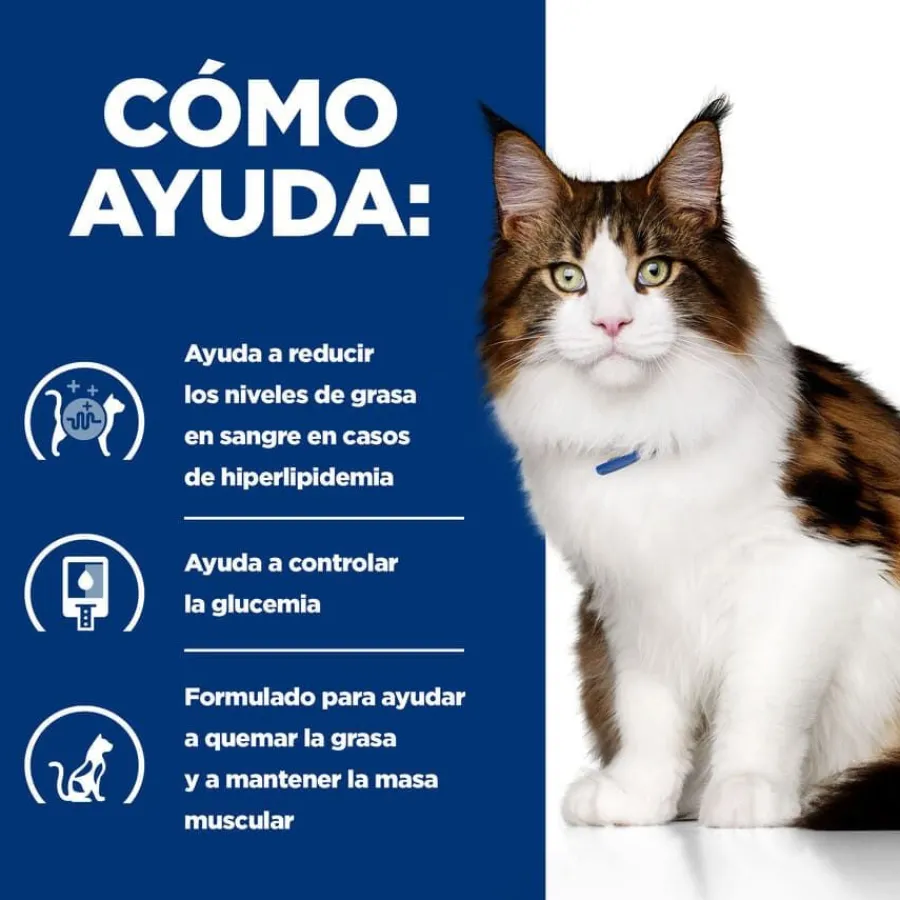 Hill's Prescription Diet Multi-Benefit Pollo pienso para gatos New