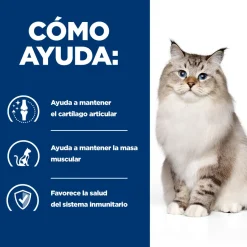 Hill's Prescription Diet Mobility j/d pienso para gatos New