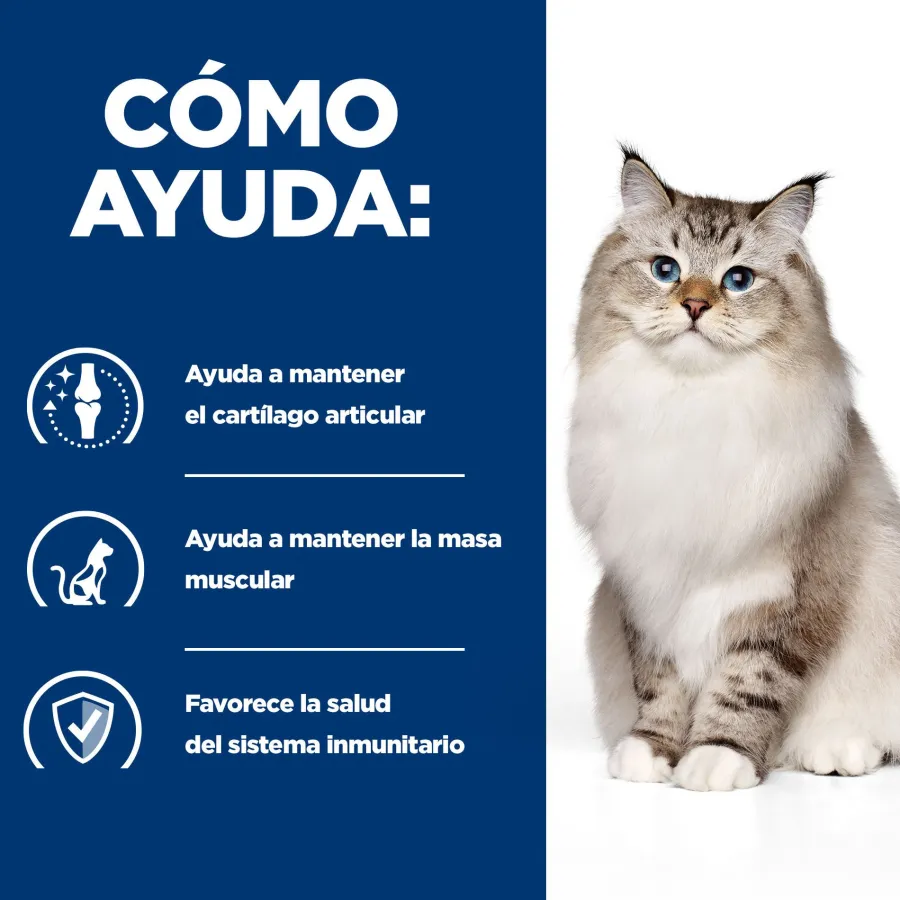 Hill's Prescription Diet Mobility j/d pienso para gatos New