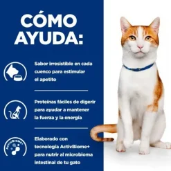 Hill's Prescription Diet ON-Care Pollo pienso para gatos Clearance