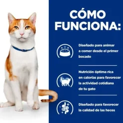 Hill's Prescription Diet ON-Care Pollo pienso para gatos Clearance