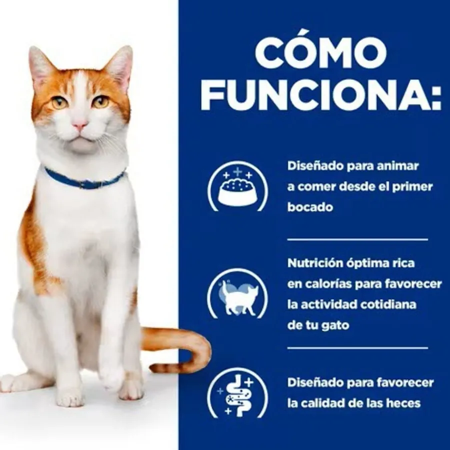 Hill's Prescription Diet ON-Care Pollo pienso para gatos Clearance