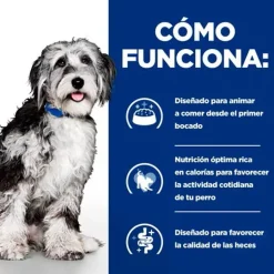 Hill's Prescription Diet ON-Care Pollo pienso para perros Online