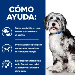 Hill's Prescription Diet ON-Care Pollo pienso para perros Online