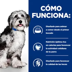 Hill's Prescription Diet ON-Care Estofado de Pollo y Vegetales lata para perros Clearance