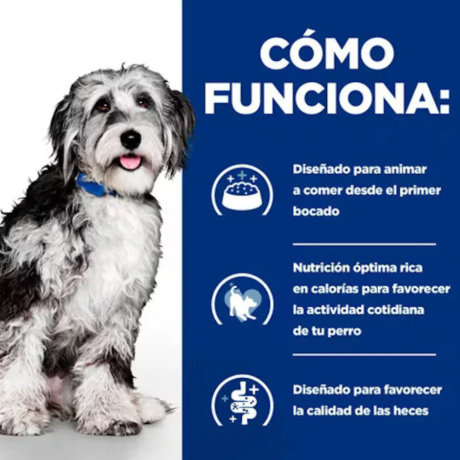 Hill's Prescription Diet ON-Care Estofado de Pollo y Vegetales lata para perros Clearance