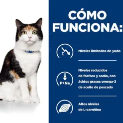 Hill's Prescription Diet Thyroid Care y/d pienso para gatos Sale