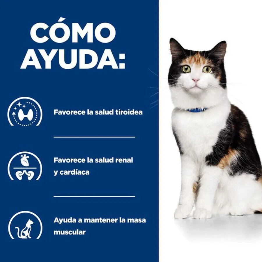 Hill's Prescription Diet Thyroid Care y/d pienso para gatos Sale