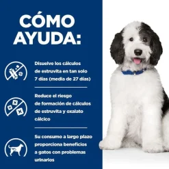 Hill's Prescription Diet Urinary Care c/d Pollo pienso para perros Outlet