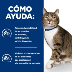 Hill's Prescription Diet Urinary Care s/d Pollo pienso para gatos Online