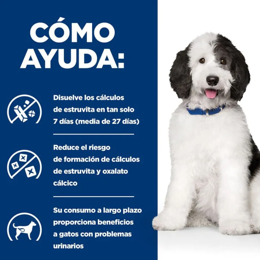 Hill's Prescription Diet Urinary Care c/d Estofado de Pollo y Verduras lata para perros Best