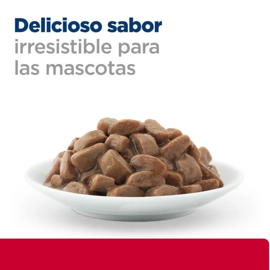 Hill's Prescription Diet Urinary Care c/d sobre para gatos Outlet
