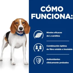 Hill's Prescription Diet Weight Loss r/d Pollo pienso para perros Best