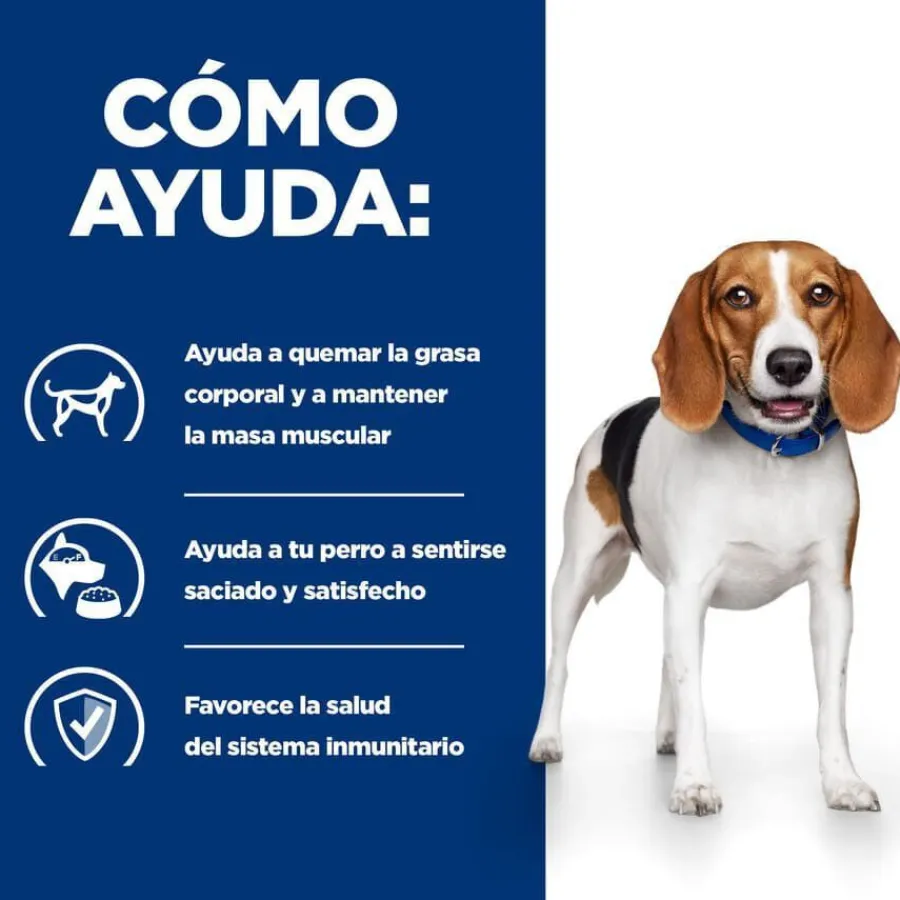 Hill's Prescription Diet Weight Loss r/d Pollo pienso para perros Best