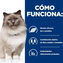 Hill's Prescription Diet Weight Loss Pollo pienso r/d para gatos Best