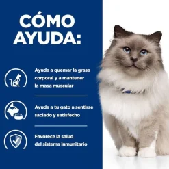 Hill's Prescription Diet Weight Loss Pollo pienso r/d para gatos Best