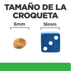 Hill's Prescription Diet Weight Loss Pollo pienso r/d para gatos Best