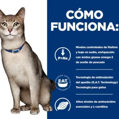 Hill's Prescription k/d Diet Kidney Care Salmón sobre en salsa para gatos New