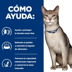Hill's Prescription k/d Diet Kidney Care Salmón sobre en salsa para gatos New